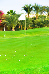 Obraz premium Green Landscape Field