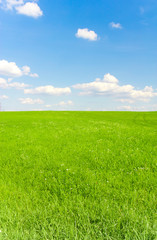 Obraz na płótnie Canvas Summer Landscape Grass