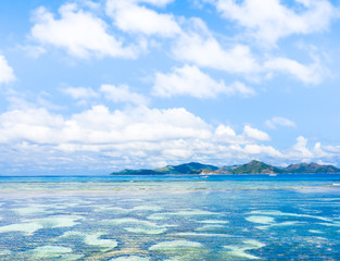 Waves Wallpaper Paradise