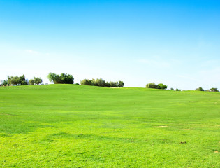 Grass Fields Of Green