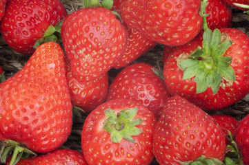Background of fresh ripe strawberries in rustic basket