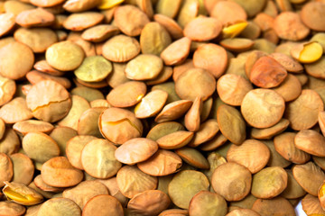 Brown lentils scattered on white background