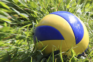 gelb blauer Ball auf einer Wiese mit Bewegungsunschärfe