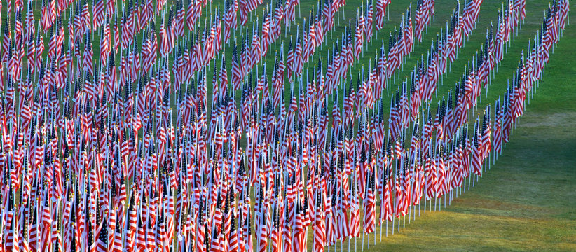Flags in the Healing Fields for 9/11