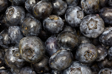 Blueberry