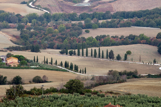 The hills around Pienza and Monticchiello  . Tuscany, Italy.