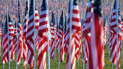 Flags in the Healing Fields for 9/11