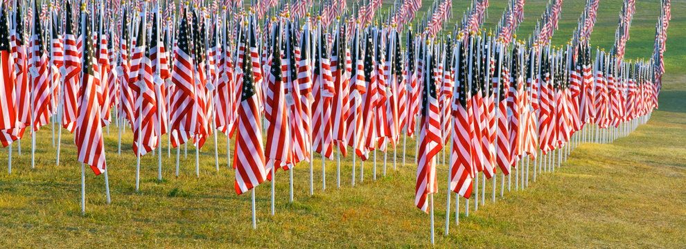 Flags in the Healing Fields for 9/11
