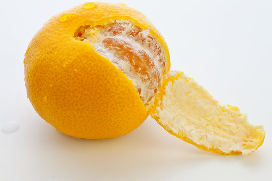 TANGERINE 2