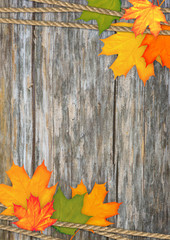 Autumn background