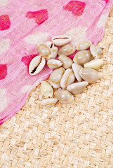 Shells with Pink Heart Scarf on basket