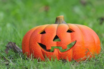 Calabaza en el jardin.