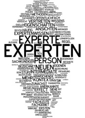 Fototapeta premium Experte