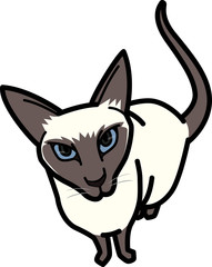 シャム　Siamese