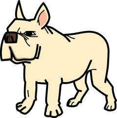 フレンチブルドッグ French Bulldog