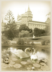 Wedding cards swans on pond