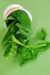 fresh basil leaves