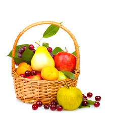 tasty summer fruits in backet isolated on white