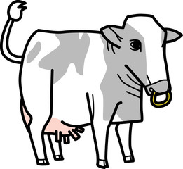 牛　cow