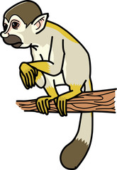 リスザル　Saimiriinae