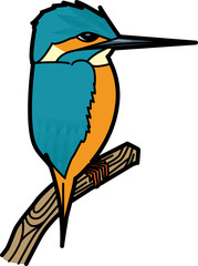 Obraz premium カワセミ CommonKingfisher