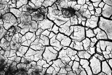 dry desert