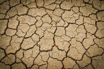 Cracked soil of desert