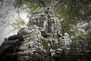 volti scolpiti ad angkor in cambogia