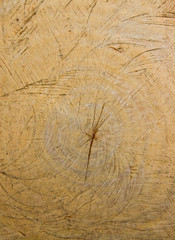 texture of wood