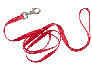 Red nylon dog lead or leash isolated over white © Mushy