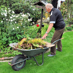 Senior bei der Gartenarbeit im Herbst