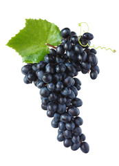 Red grape.