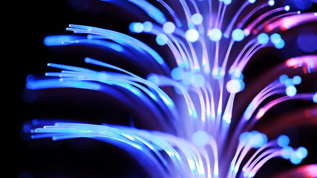 branches souvenir lamp in form of conifer rotates