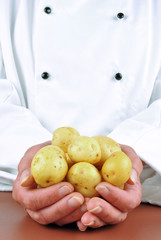 Köchin in einer Kochjacke hält ein paar junge Kartoffeln in ih