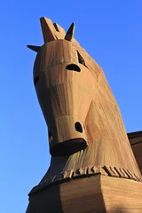 Rolgordijnen Trojan Horse © burak çakmak