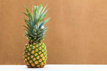 Pineapple on Plain Brown Background