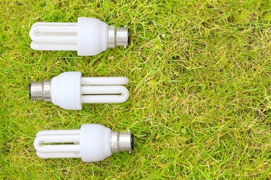 Energy Saving Bulbs in Grass