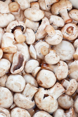 Fresh mushrooms champignon