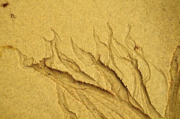 Water Marks In Sand