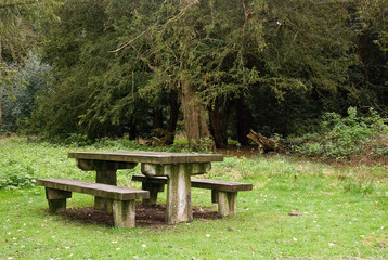 Bench in Country Park