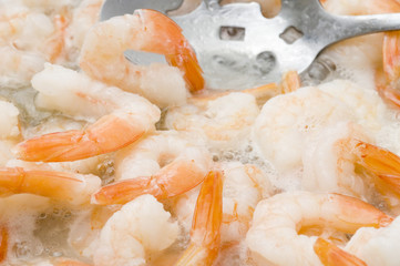 Shrimp