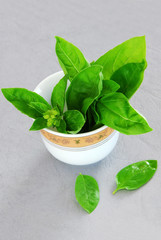 fresh basil leaves