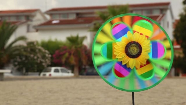 Round toy with sunflower in center is set in ground and spinning