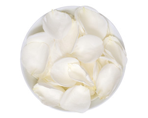 White rose petals