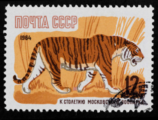 Postal stamp. Tiger, 1964