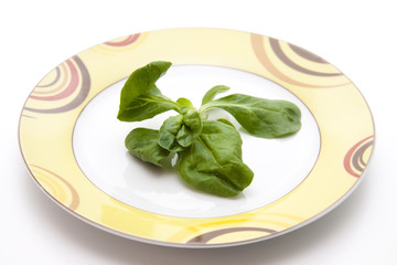 Feldsalat auf Teller