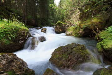 small stream - ruscello di montagna