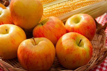 Autumn Harvest