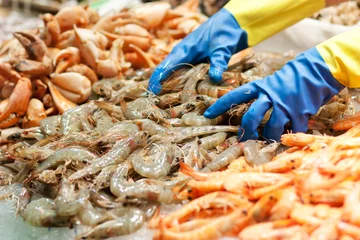 Rolgordijnen Crevettes, étalage de poissonnier © TristanBM
