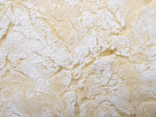 raw dough